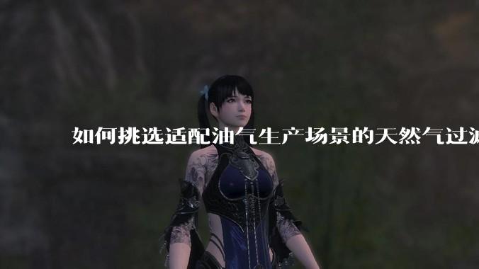 如何挑选适配油气生产场景的天然气过滤分离器_设备_参数_运行