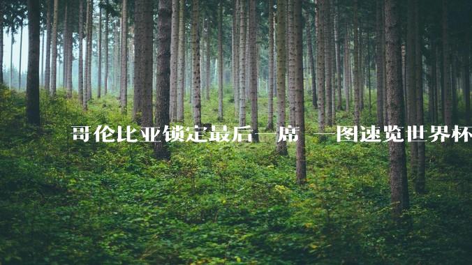 哥伦比亚锁定最后一席 一图速览世界杯16强_比赛_加纳_双方