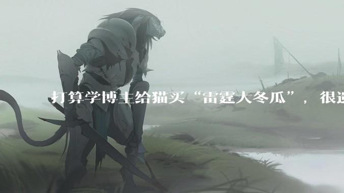 打算学博主给猫买“雷霆大冬瓜”，很遗憾，买回来之后你可能会失望……_考拉_温度_姿势