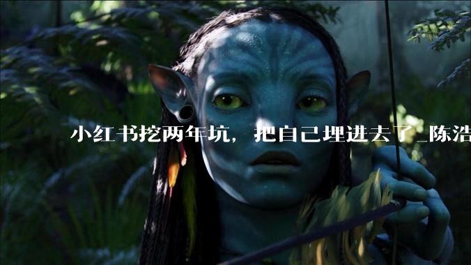 小红书挖两年坑，把自己埋进去了_陈浩_阿里_公司