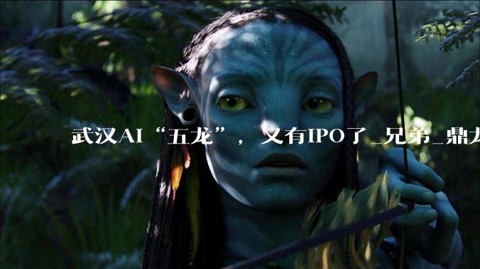 武汉AI“五龙”，又有IPO了_兄弟_鼎龙股份_材料