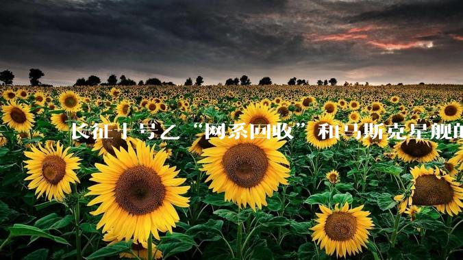 长征十号乙“网系回收”和马斯克星舰的“筷子夹火箭”，谁更高明？_技术_复用_发射塔