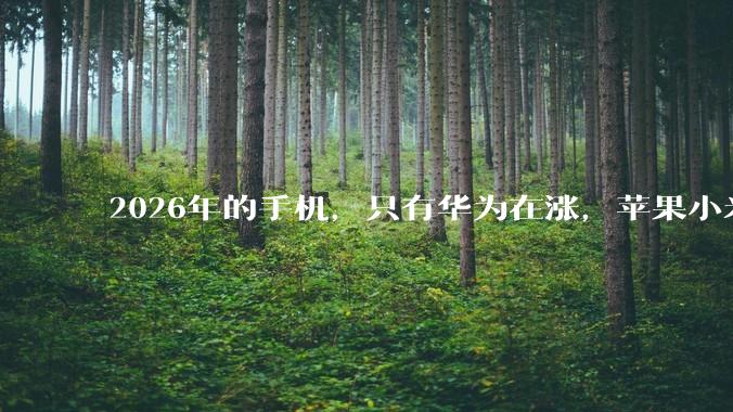 2026年的手机，只有华为在涨，苹果小米VO都在跌，凭什么？_品牌_其它_销量