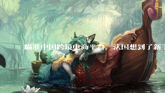 瞄准中国跨境电商平台，法国想到了新手段_Temu_Shein_欧洲