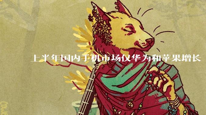 上半年国内手机市场仅华为和苹果增长 整体下滑10%_同比_品牌_促销