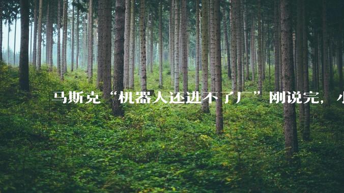 马斯克“机器人还进不了厂”刚说完，小米机器人上岗汽车产线了_盖板_作业_Figure
