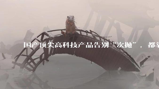 国产顶尖高科技产品告别“次抛”，都靠这个全球首创的技术_回收_商业_航天