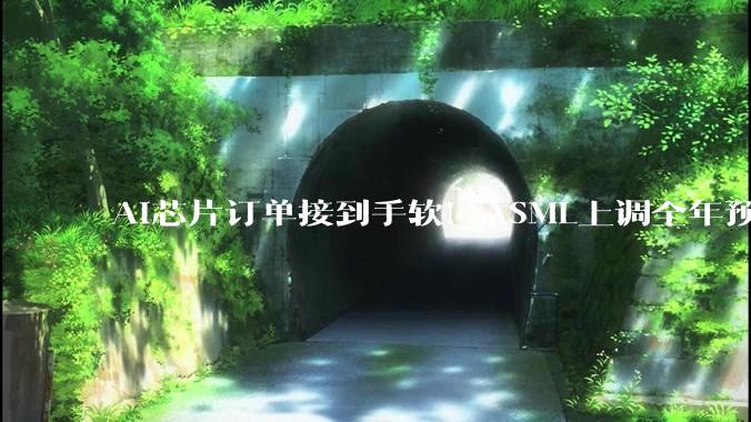 AI芯片订单接到手软！ASML上调全年预测_产能_欧元_客户