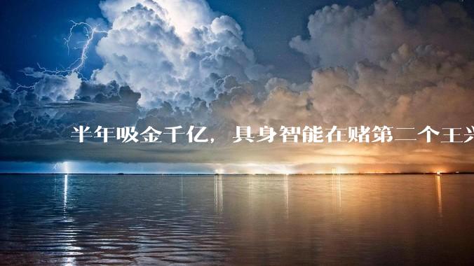 半年吸金千亿，具身智能在赌第二个王兴兴_机器人_行业_彭志辉