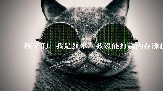 孩子们，我是红米，我没能打赢内存涨价。_Note_Pro_系列