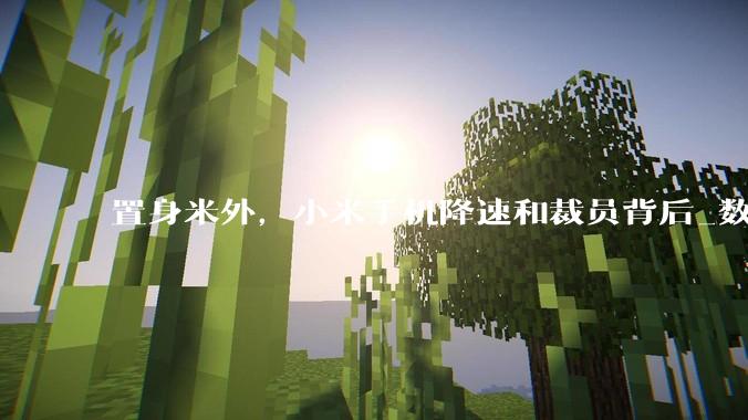 置身米外，小米手机降速和裁员背后_数智_蒋萍萍_员工