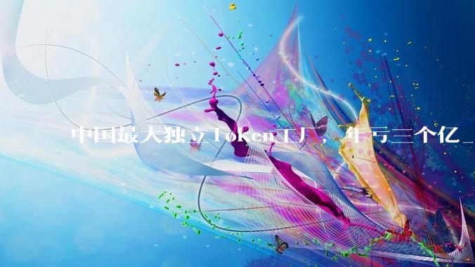 中国最大独立Token工厂，年亏三个亿_流动_模型_推理