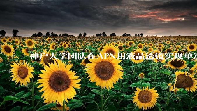 神户大学团队在APN用液晶透镜实现单次拍摄三维荧光显微_分量_相位_调制器
