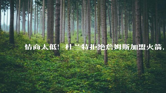 情商太低！杜兰特拒绝詹姆斯加盟火箭，球迷嘲讽：他害怕被抢风头_老詹_库里_直性子