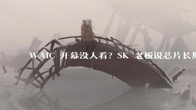WAIC 开幕没人看？SK 老板说芯片长期涨，恐慌时别忘看产业面_资金_机构_陈果
