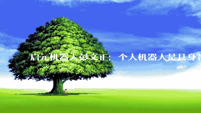 启元机器人彭文正：个人机器人是具身智能的星辰大海_人形_行业_场景