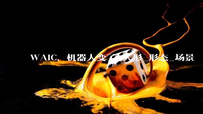 WAIC，机器人变了_人形_形态_场景