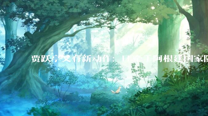 贾跃亭又有新动作：FF牵手阿根廷国家队，为机器人业务造势_订单_体育_领域