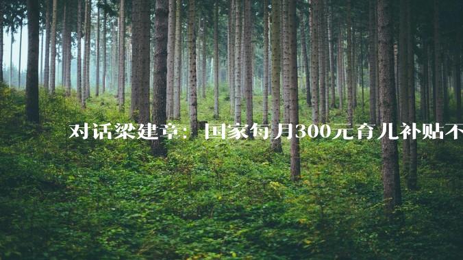 对话梁建章：国家每月300元育儿补贴不够，该给家庭发一份“育儿工资”_生育_时间_方面
