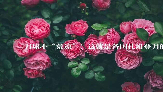 月球不“荒凉”！这就是各国扎堆登月的真相_南极_探测_地球引力