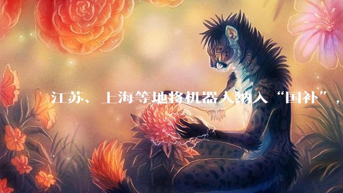 江苏、上海等地将机器人纳入“国补”，满足消费者尝鲜需求_品类_补贴_政策