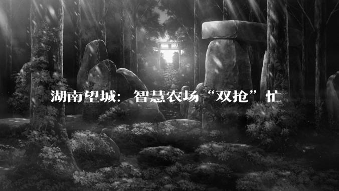 湖南望城：智慧农场“双抢”忙