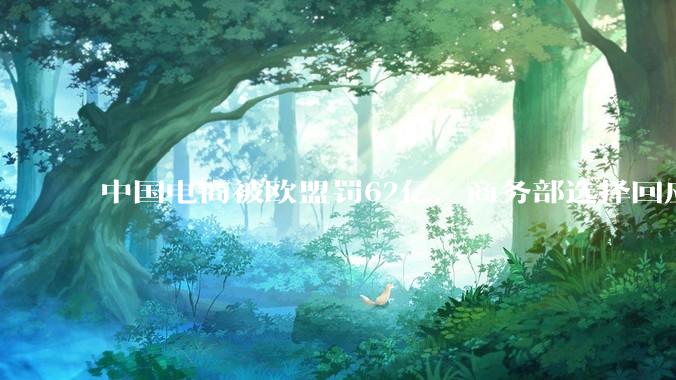 中国电商被欧盟罚62亿，商务部选择回应硬刚，这次为何不忍了？_全球化_算法_监管