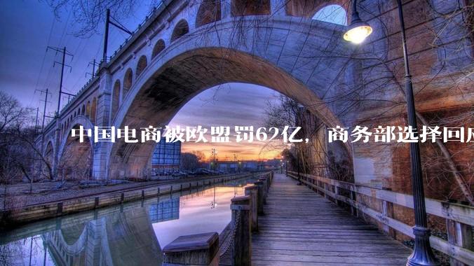 中国电商被欧盟罚62亿，商务部选择回应硬刚，这次为何不忍了？_全球化_算法_监管