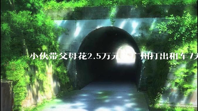 小伙带父母花2.5万元从广州打出租车7天开3000多公里到西藏，司机回应：一开始以为他是去“西站”，_童师傅_罗先生_拉萨
