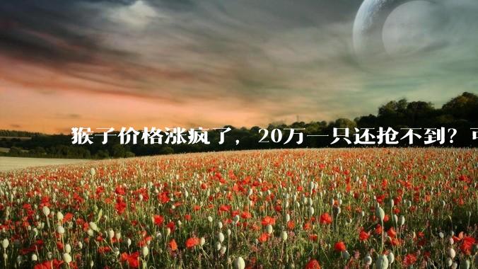 猴子价格涨疯了，20万一只还抢不到？可是峨眉山上不是超级多吗？_实验_新药_***购