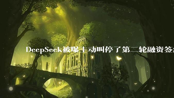 DeepSeek被曝主动叫停了第二轮融资签约_暂停_资金_彭博