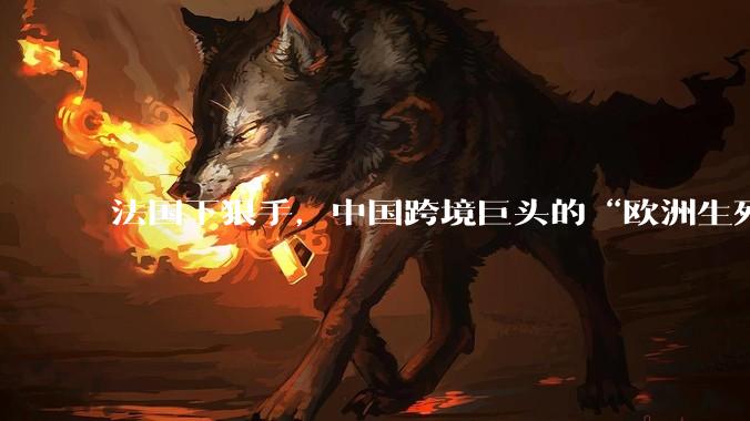 法国下狠手，中国跨境巨头的“欧洲生死劫”刚刚开始_欧元_平台_时尚