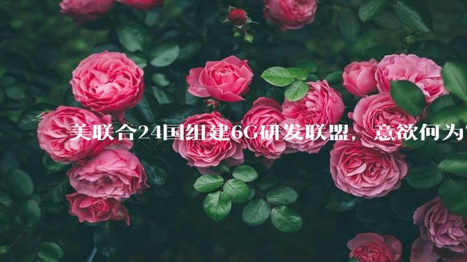 美联合24国组建6G研发联盟，意欲何为？_美国商务部_技术_Release