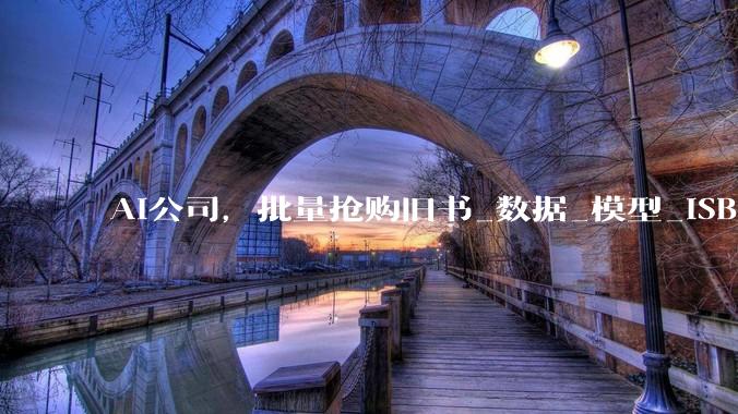 AI公司，批量抢购旧书_数据_模型_ISBNdb