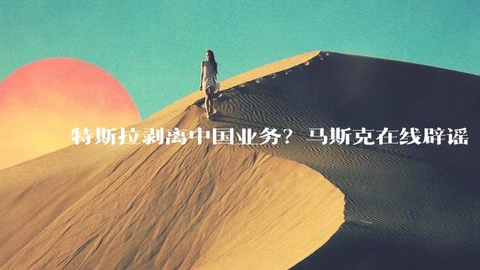 特斯拉剥离中国业务？马斯克在线辟谣“***消息”_全球_上海_Model