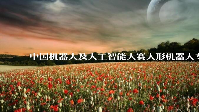中国机器人及人工智能大赛人形机器人专项赛全国决赛开幕