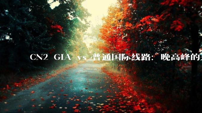 CN2 GIA vs 普通国际线路：晚高峰的差距，比你想象的更大 - *