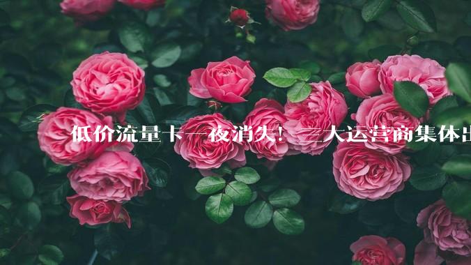 低价流量卡一夜消失！三大运营商集体出手，价格战结束了？_优惠_套餐_用户