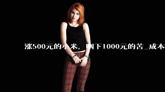 涨500元的小米，咽下1000元的苦_成本_主力机型_手机
