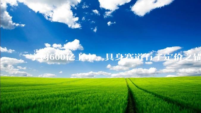 宇树600亿上市，具身赛道有了定价之锚_机器人_盈利_企业