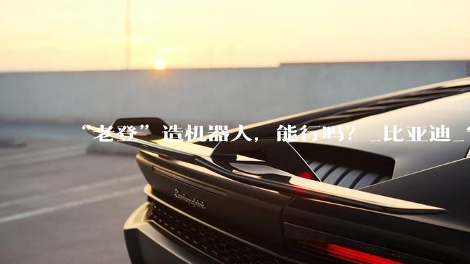“老登”造机器人，能行吗？_比亚迪_宁德_人形
