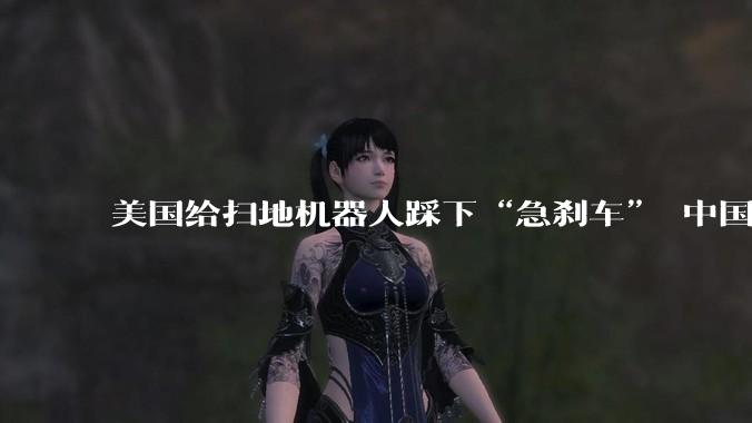 美国给扫地机器人踩下“急刹车” 中国品牌最担心的是什么？_产品_企业_市场