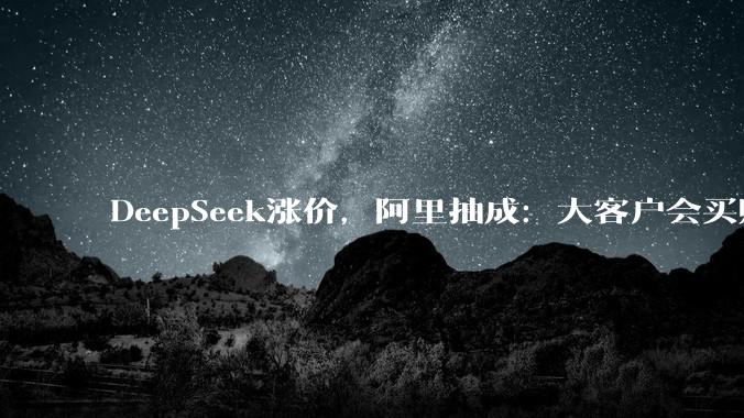DeepSeek涨价，阿里抽成：大客户会买账还是跑路？_模型_-Max_许可