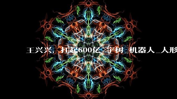 王兴兴，扛起600亿_宇树_机器人_人形