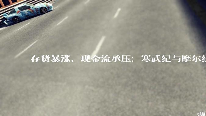 存货暴涨、现金流承压：寒武纪与摩尔线程，在赌国产AI芯片的万亿未来_公司_主营业务_同比增长