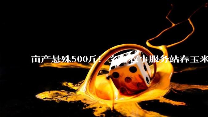 亩产悬殊500斤！乡合农事服务站春玉米测产见证智慧农业实效 - *