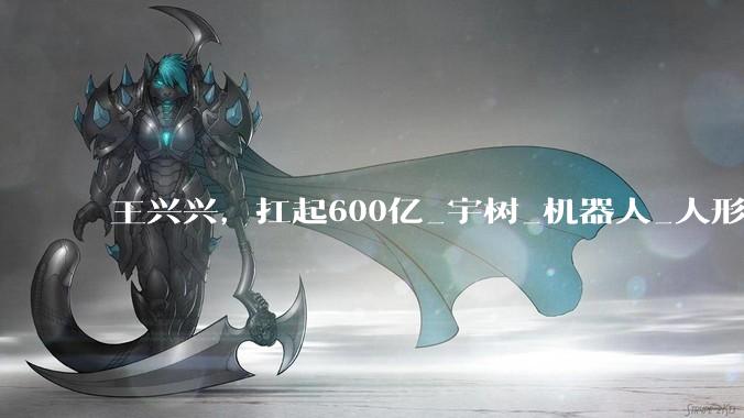 王兴兴，扛起600亿_宇树_机器人_人形