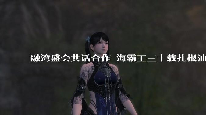 融湾盛会共话合作 海霸王三十载扎根汕头成就汕台融合范本 - *
