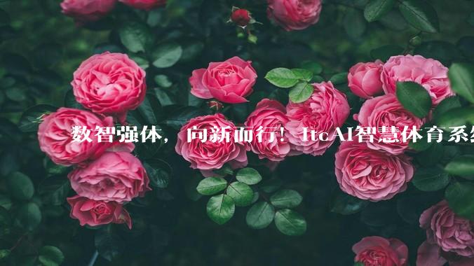 数智强体，向新而行！itcAI智慧体育系统助力湖北松滋划子嘴小学推进校园体育智慧化变革 - *