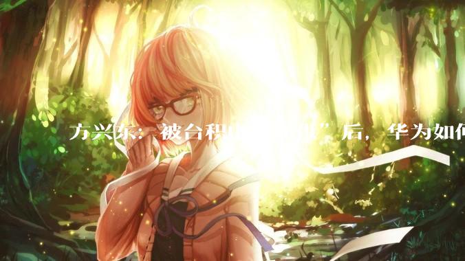 方兴东：被台积电“断供”后，华为如何“昇腾”？_产业_芯片_技术